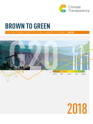 Brown to green report
