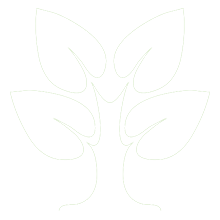 ISNPMP logo