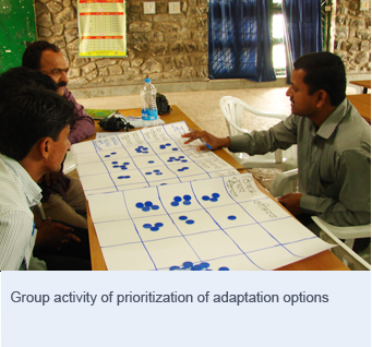 Group activity of prioritization of adaptation options 
