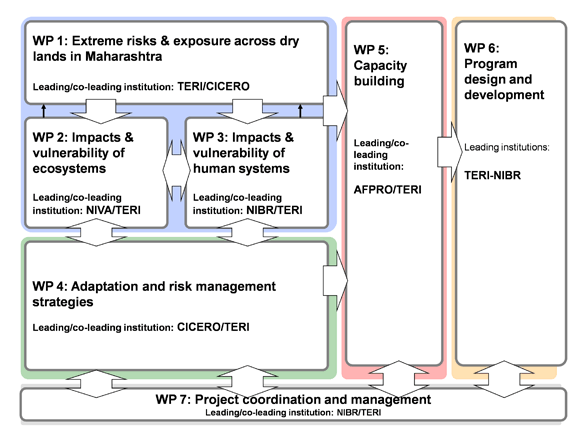 project coordination and management