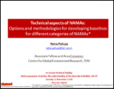 NAMA technical briefing