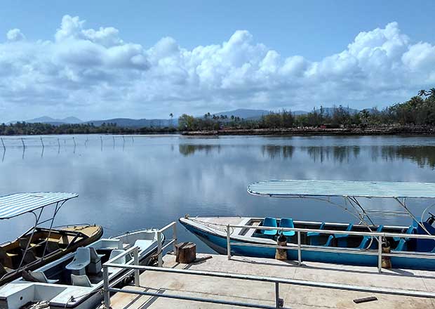 River Sal in Salcete