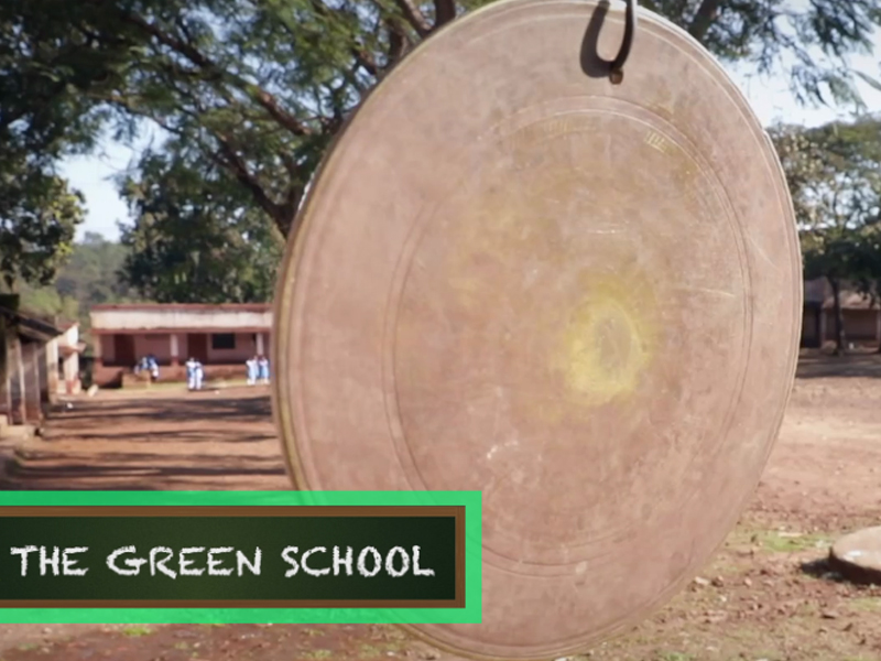 'The Green School' project film: An initiative by Tata Steel and TERI ...