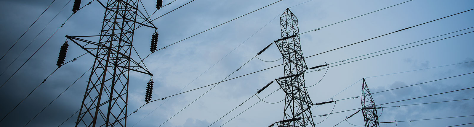 Electricity Fuels