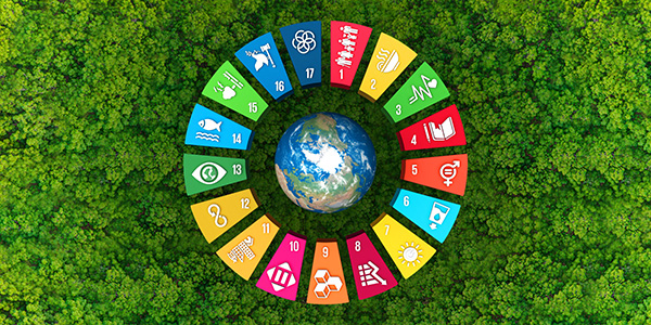 SDG Blueprint