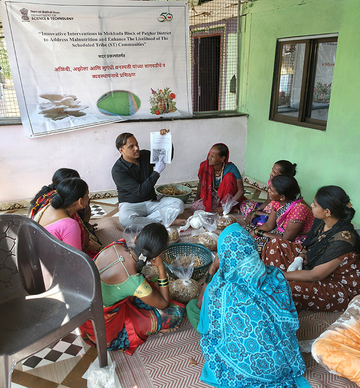 Implementation of field activities