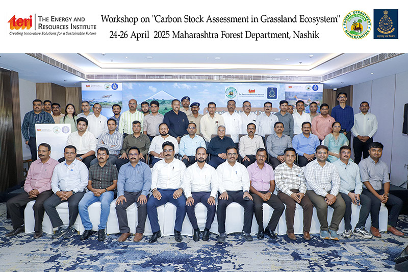 Grassland Ecosystems