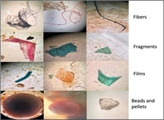 Microplatic