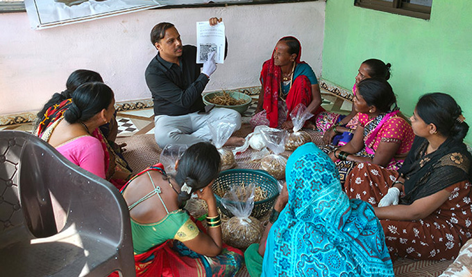  Implementation of field activities