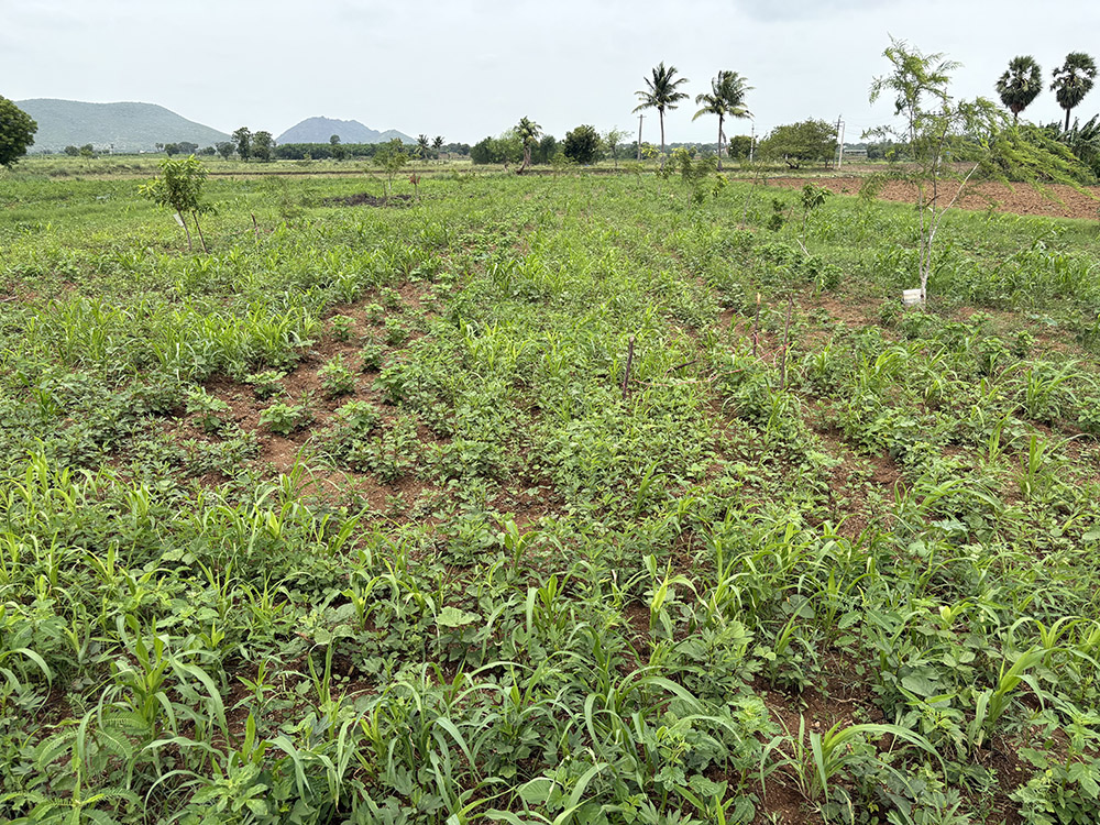  Agroecological Region