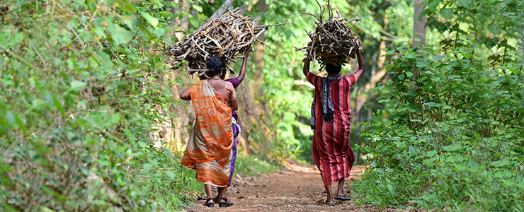 nagaland hunter