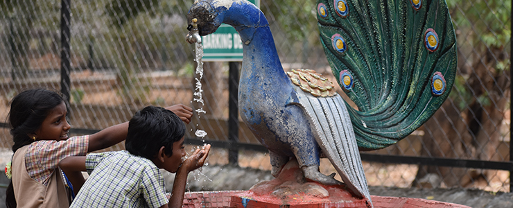 water video rajasthan