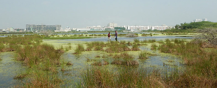 cleaning rivers