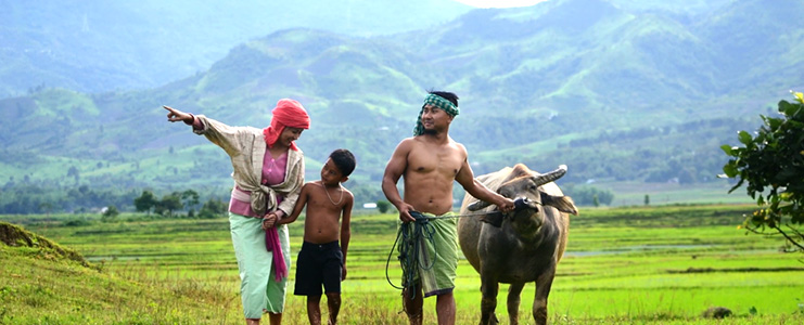 rural-energy