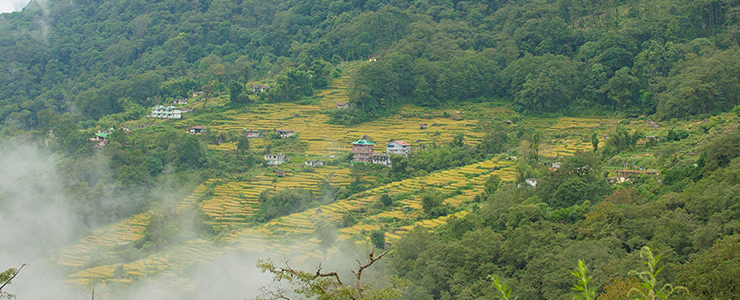 nagaland biodiversity