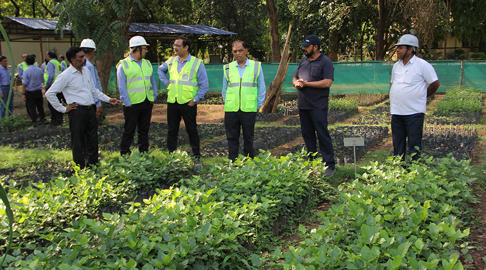 converting red mud dump yard into green cover