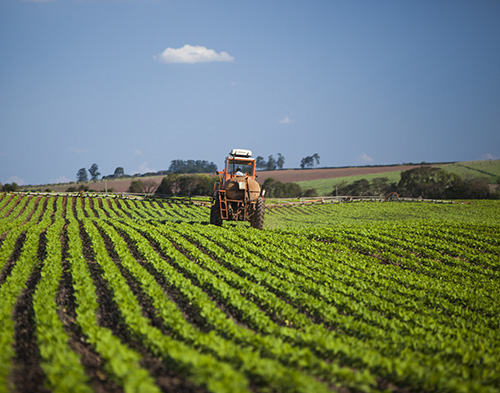 Sustainable Agriculture
