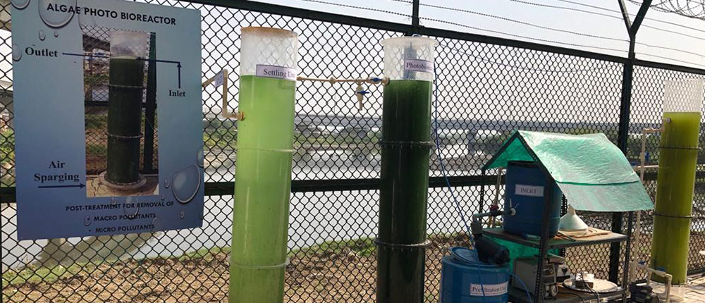 Algae photo bioreactor