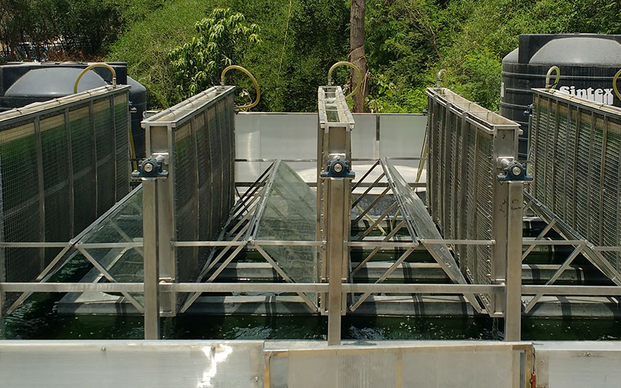 Feedstock improvement