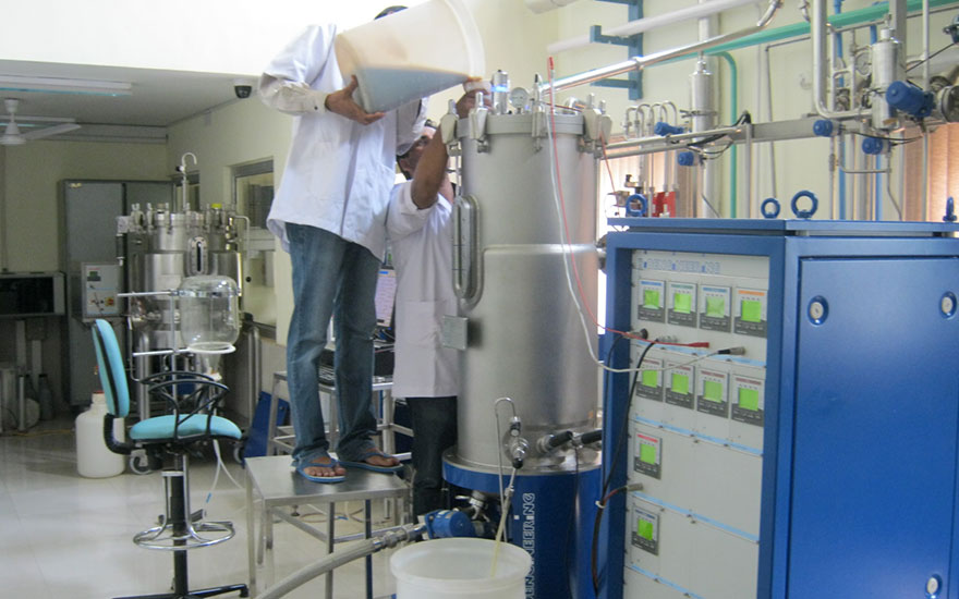 Bio Fuel Production