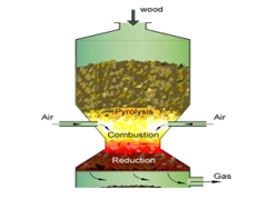 biomass