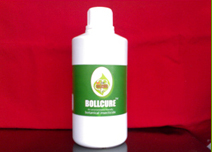 bollcure