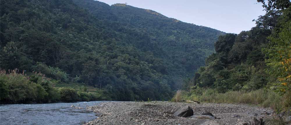 Conserve Nagaland