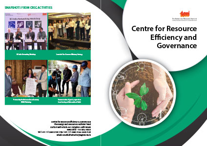 Centre for resource efficiency and governance