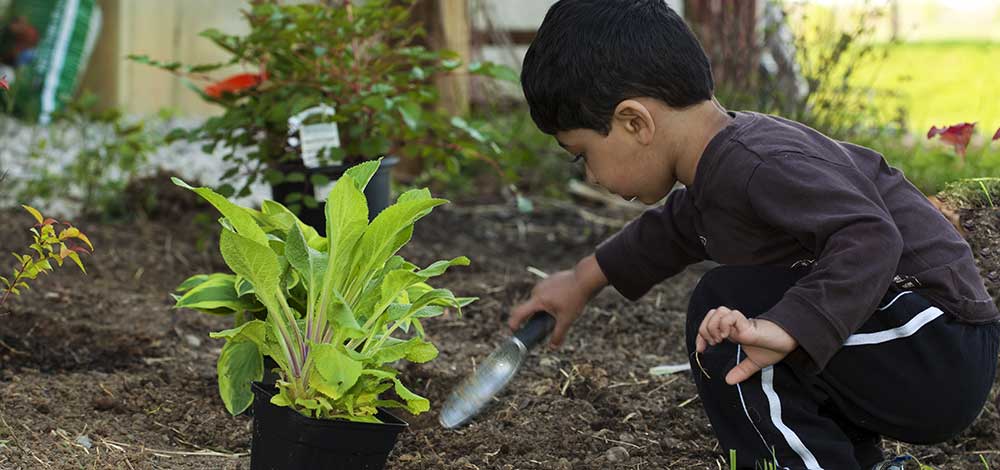 Cultivating biodiversity