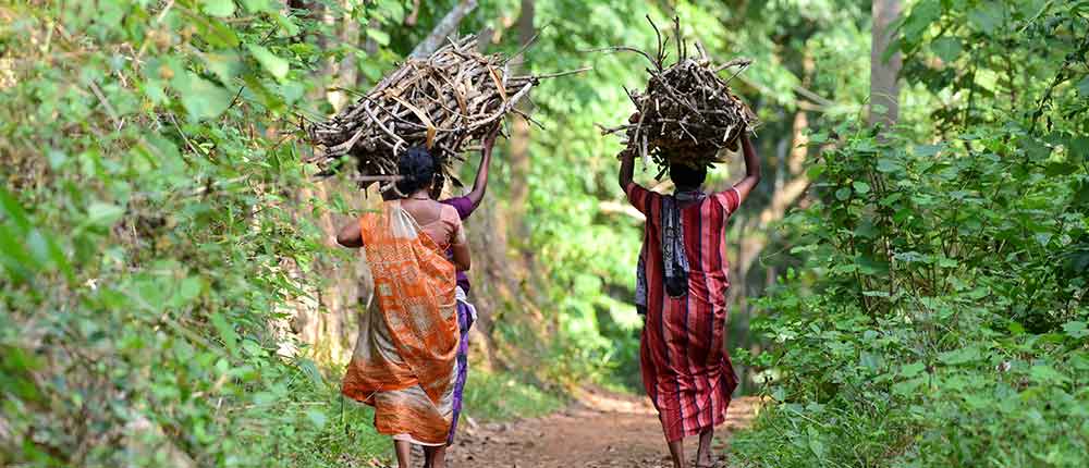 The Many Uses of Firewood