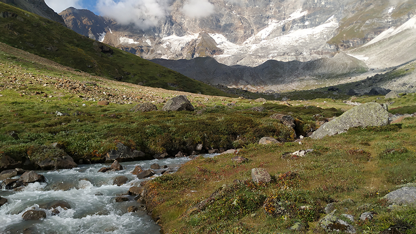 Flower valley