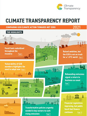 Global report