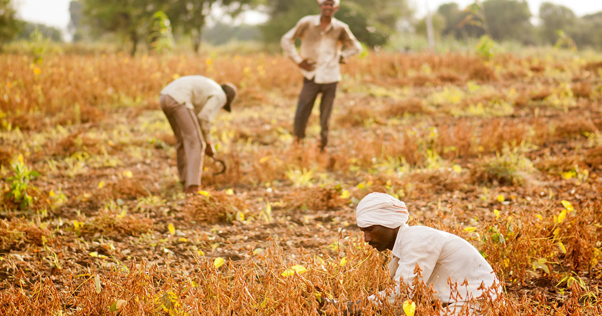 Land degradation