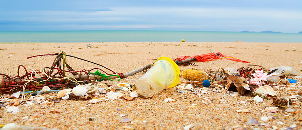 Here is how marine pollution is challenging environment and economy of ...