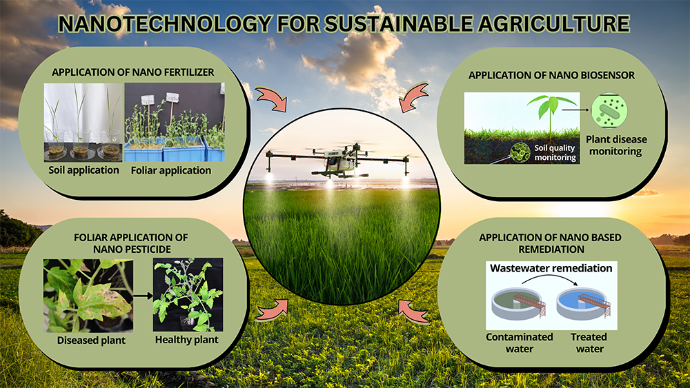 nanotech for sustaiable agriculture