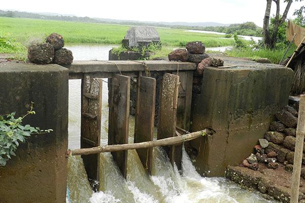 Sluice gate