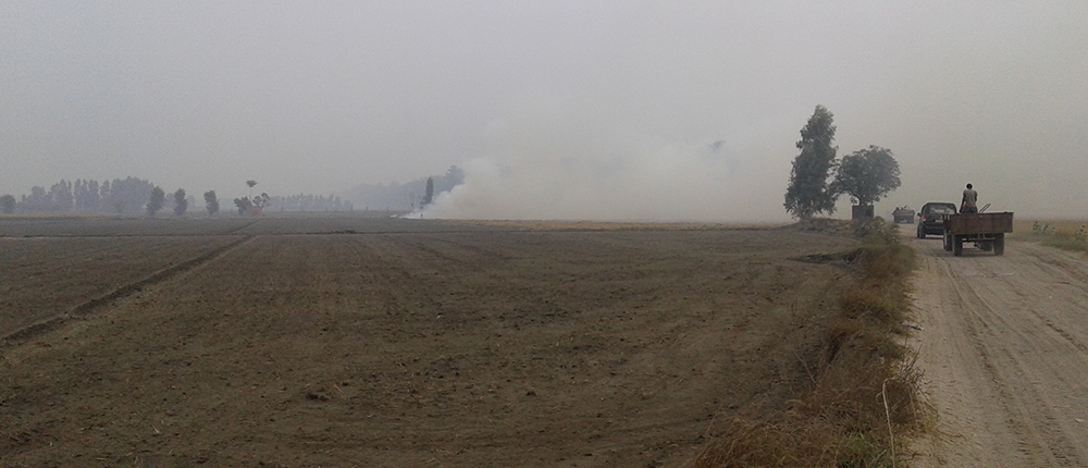 Stubble burning