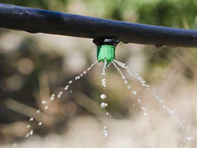 sustainable irrigation