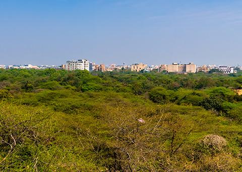 Budget’s focus on Green India is welcome