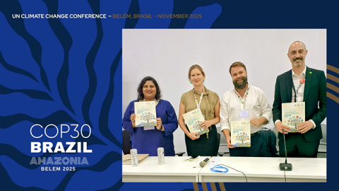 Multilateralism at COP30