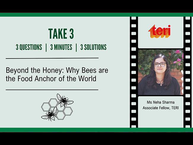 Beyond-the-Honey