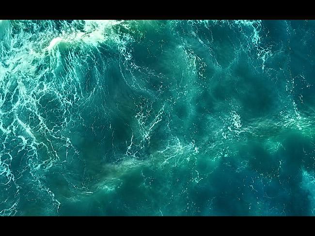 Coastal-Ecology